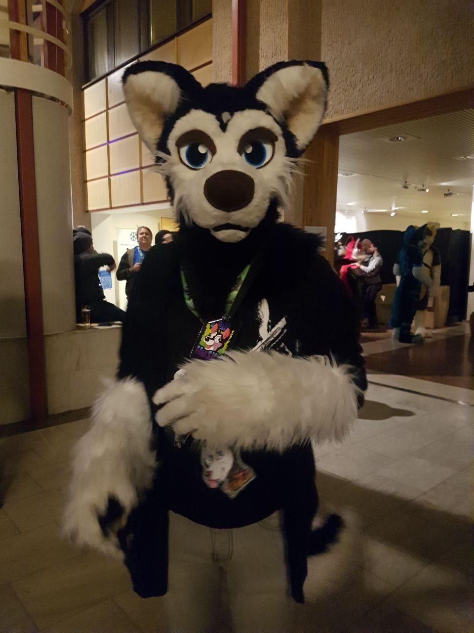 Click to change the View Old convention picture