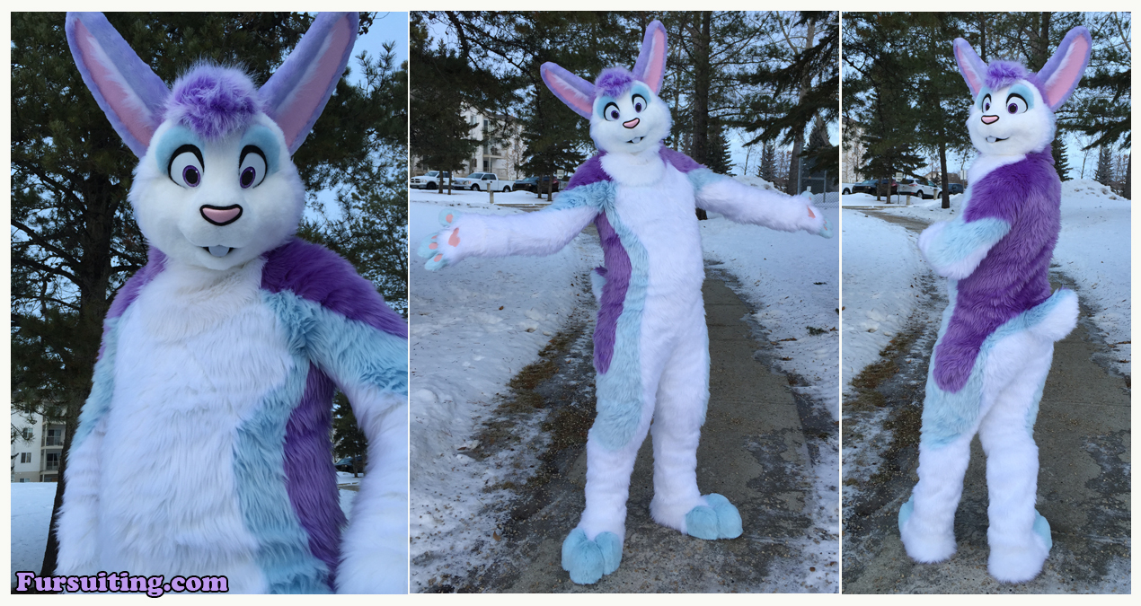 Jellybean Bunny - Fursuiting.com