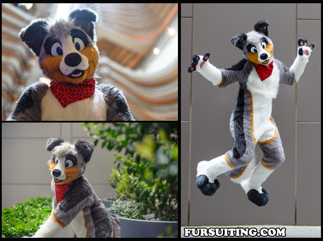 Tucker Aussie Dog - Fursuiting.com