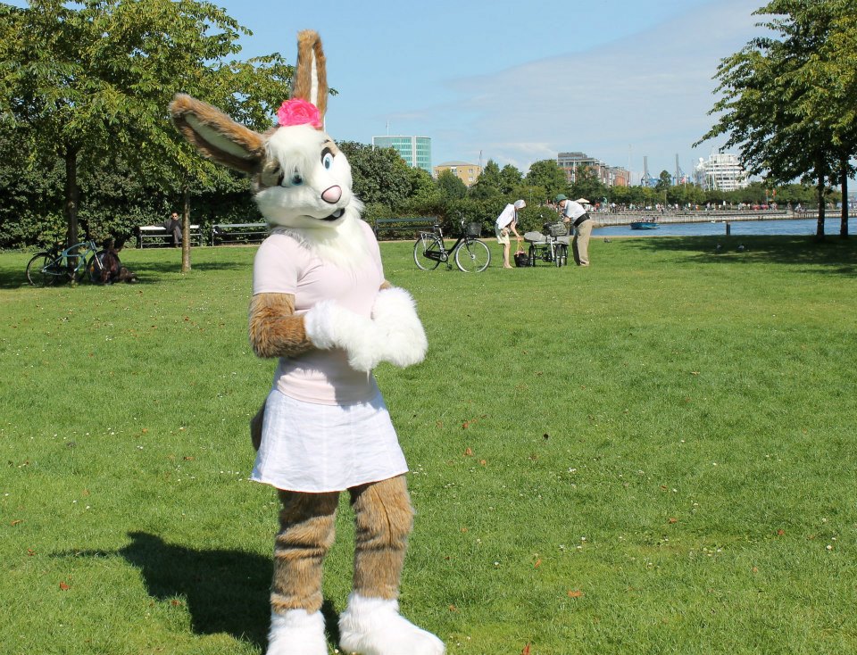 Click to change the View Bunny for sale!