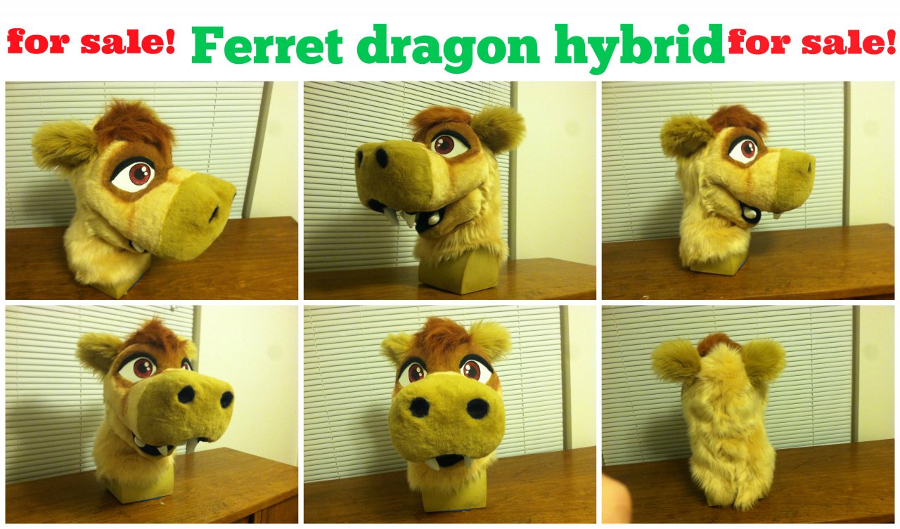 Click to change the View For SALE! + Handpaws