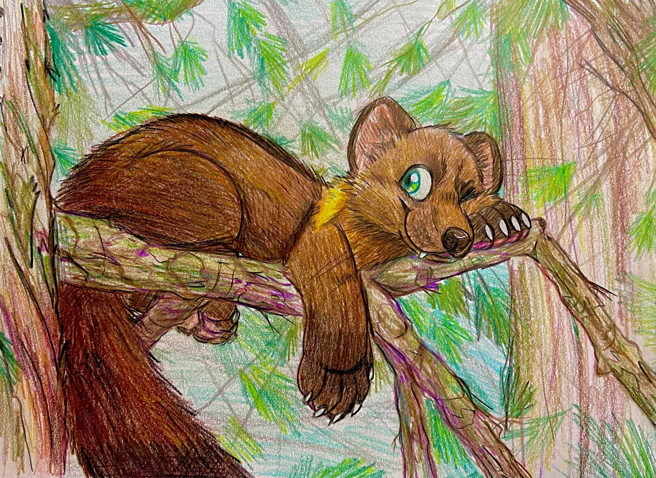 [AF] pine tree, different kind of marten