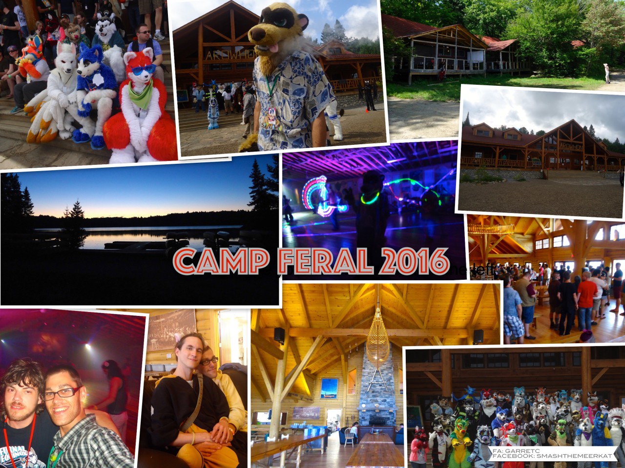 Camp Feral 2016