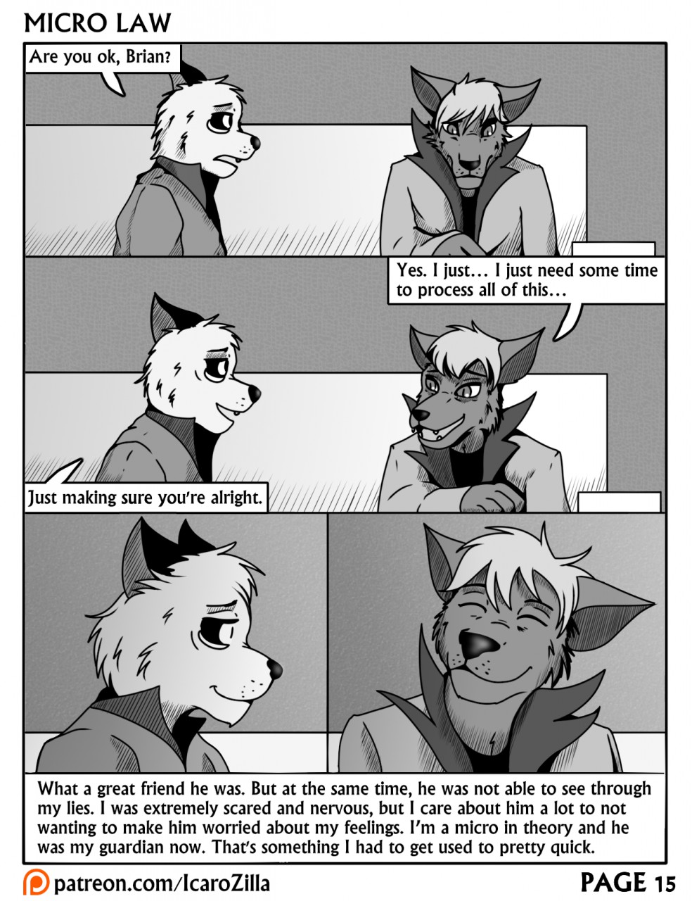 Micro Law - Page 15