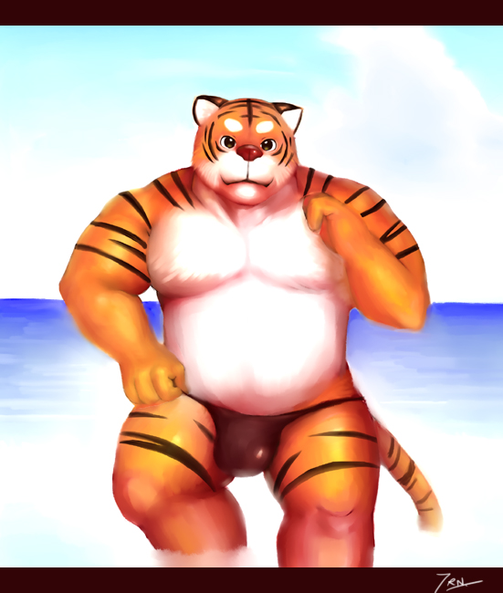 toron - sunset color tiger -