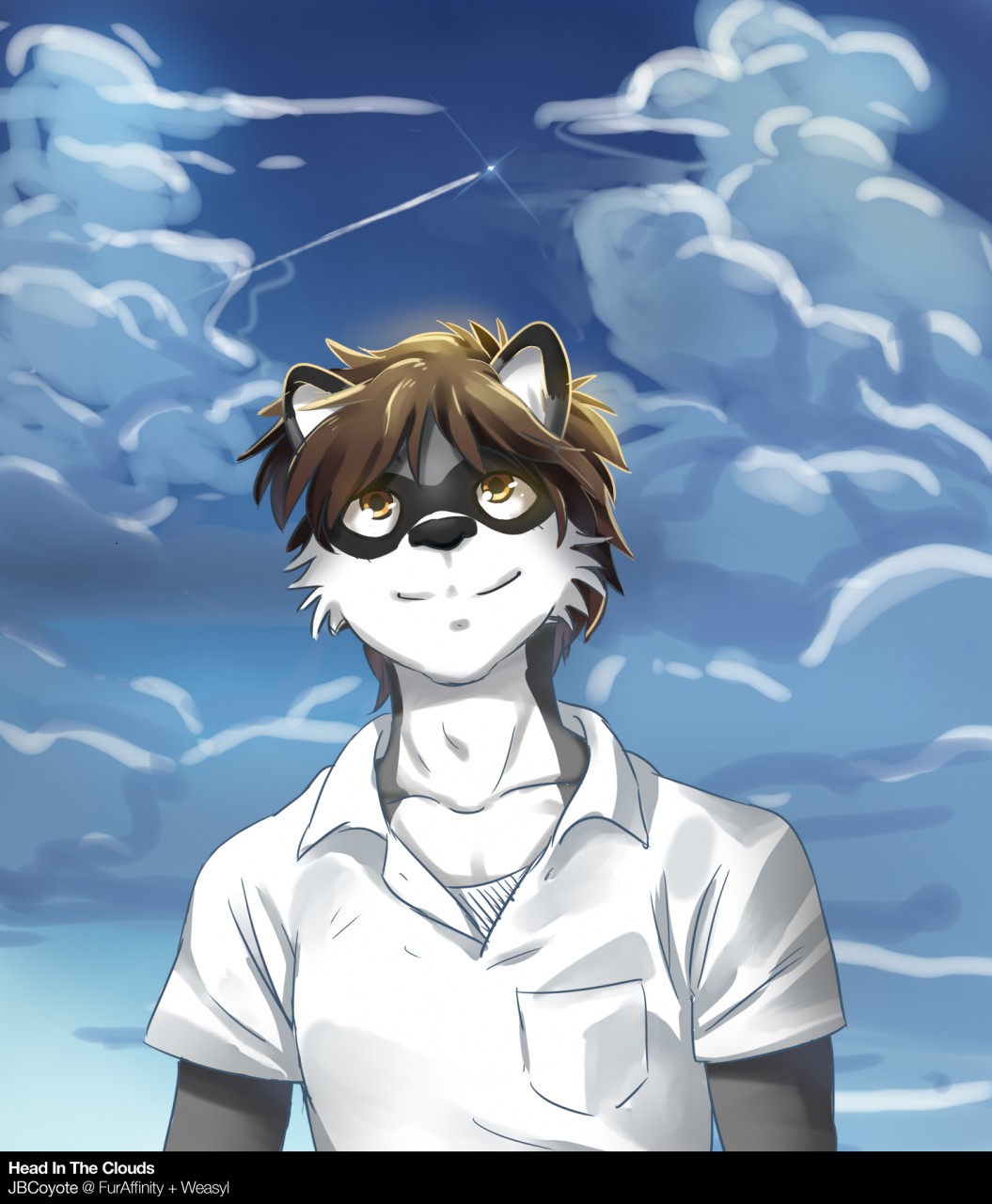 Head In The Clouds [JBCoyote]