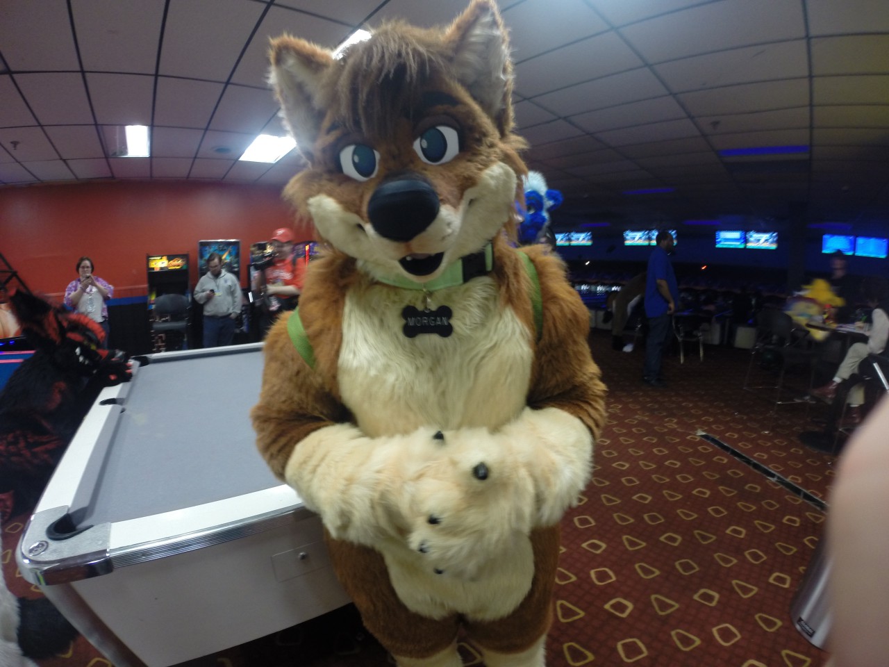 Morgan @ DE  Furbowl 57 (2)