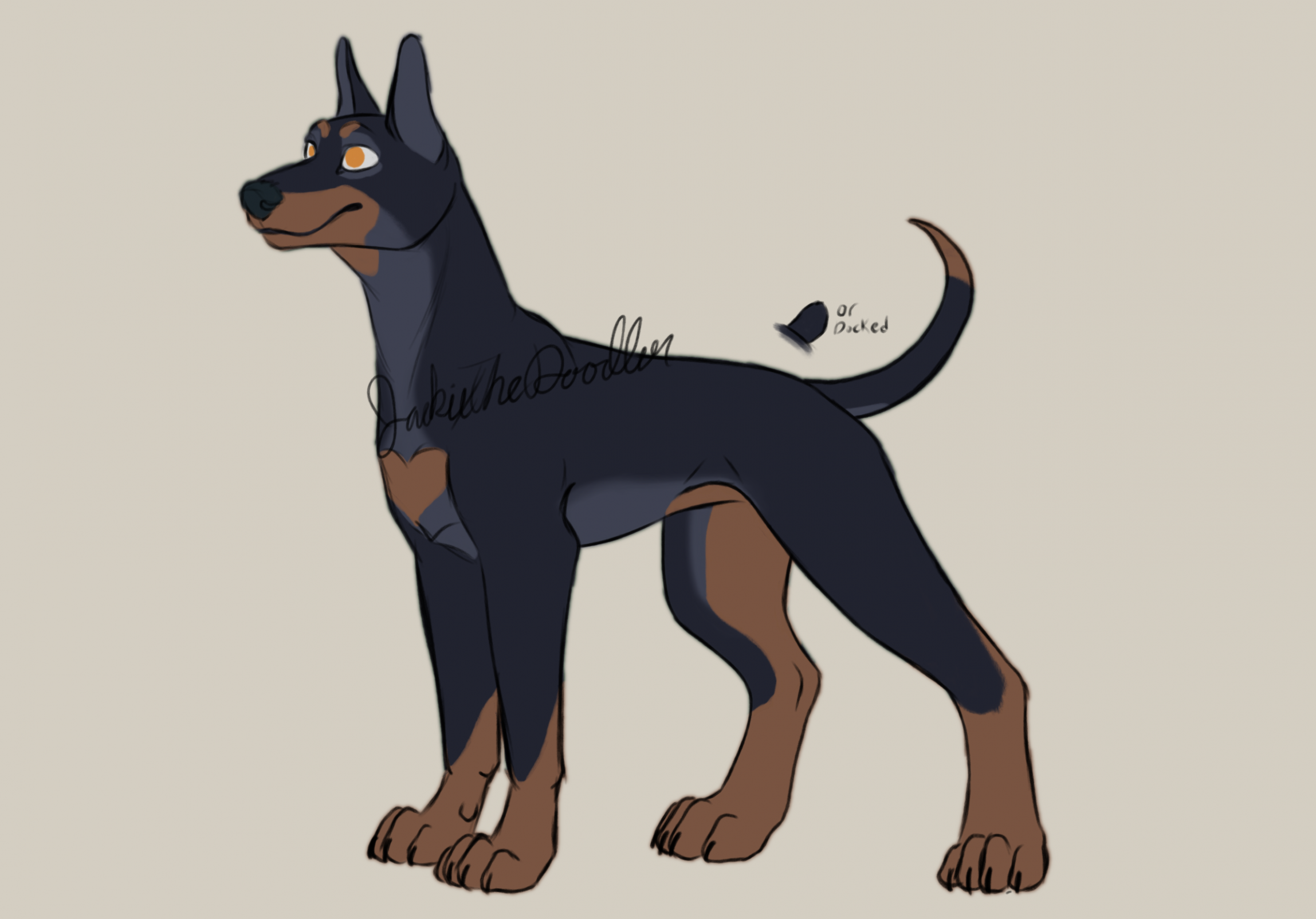 Doberman