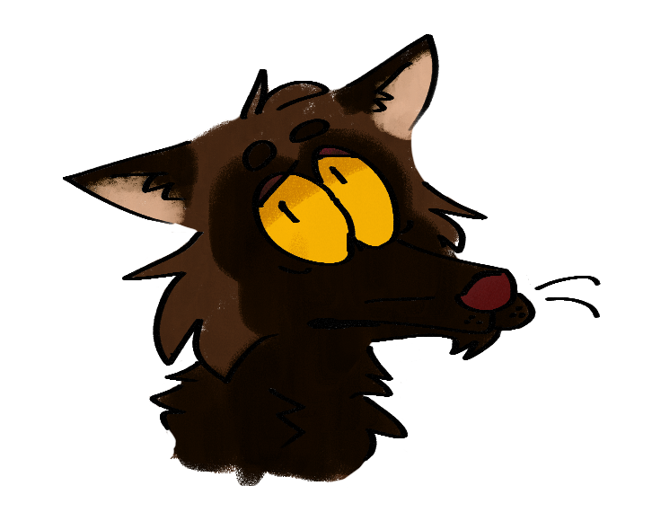 Click to change the View it is jasper