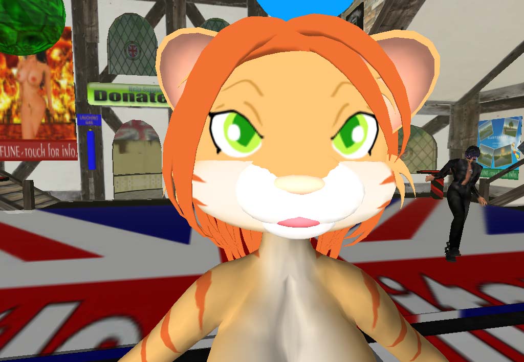 Click to change the View Me in second life!