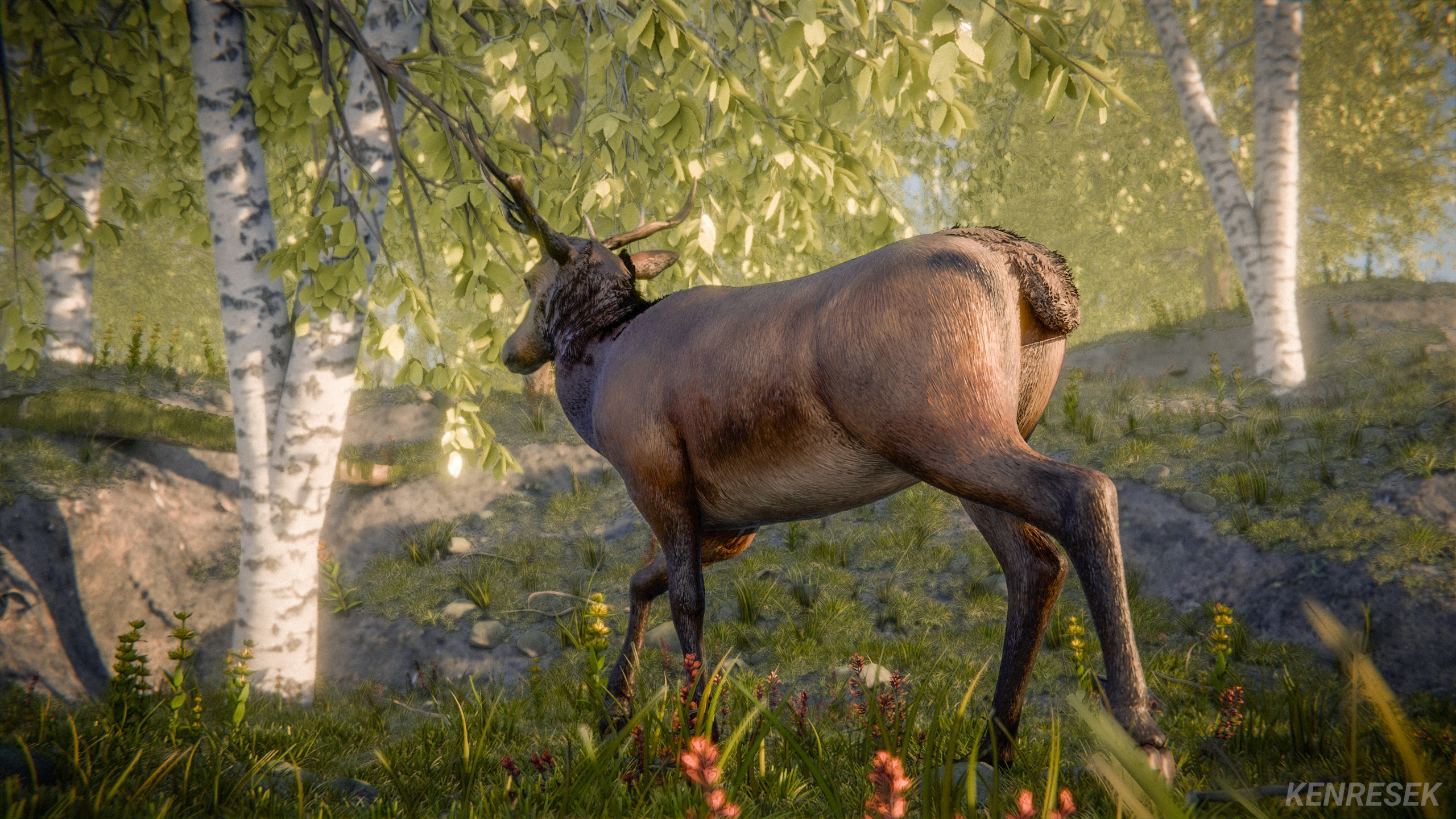 Deer amidst the forest