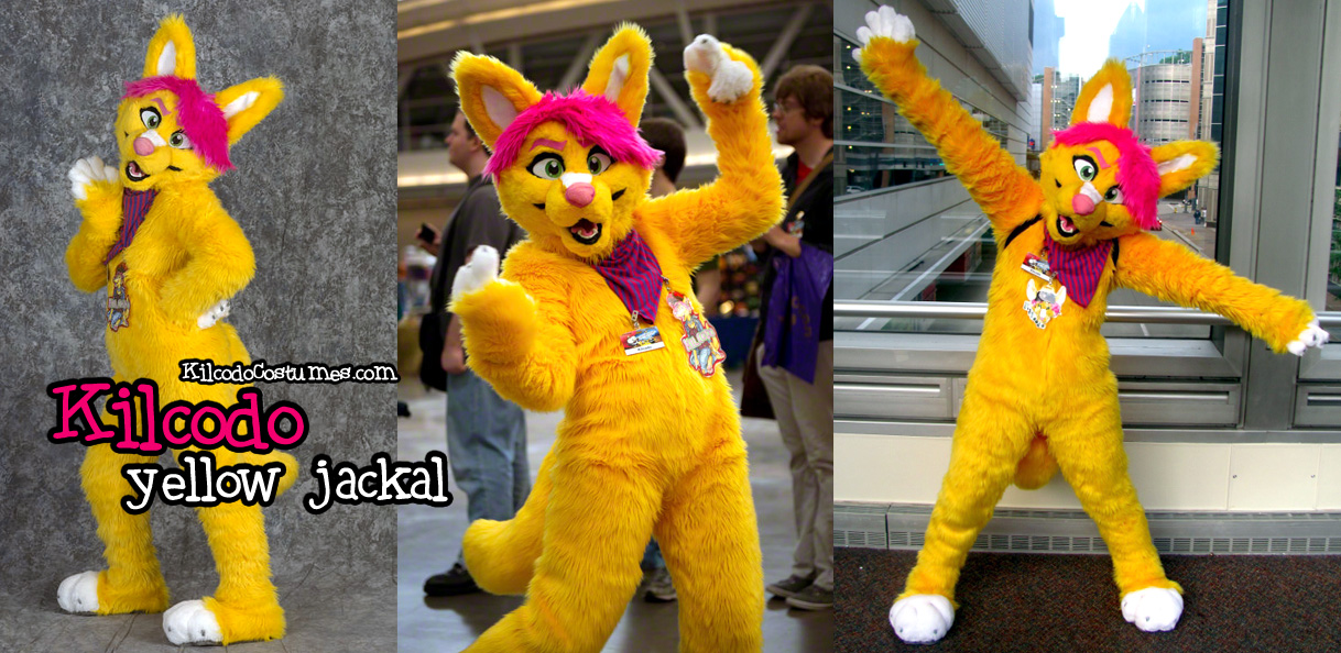 Kilcodo the Golden Jackal Fursuit