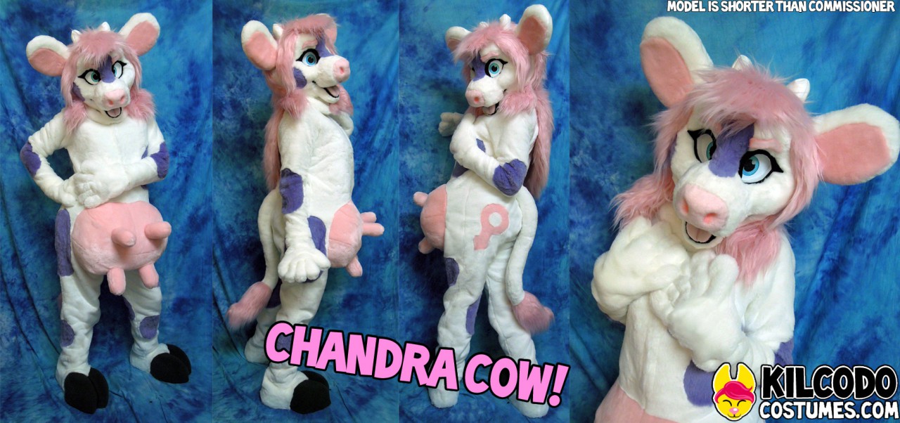 Chandra Cow Fursuit