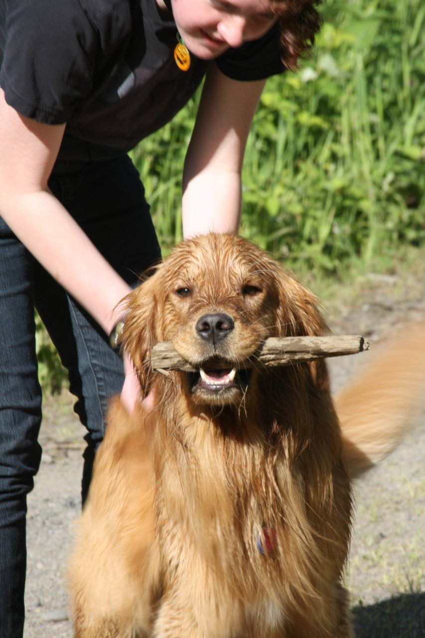 Kuma: Omnom Stick