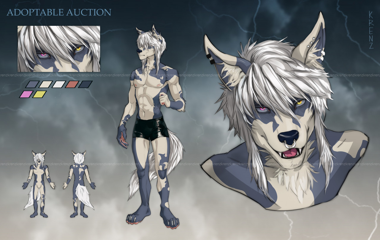 ⋆ ADOPTABLE AUCTION WOLF ⋆ (closed)