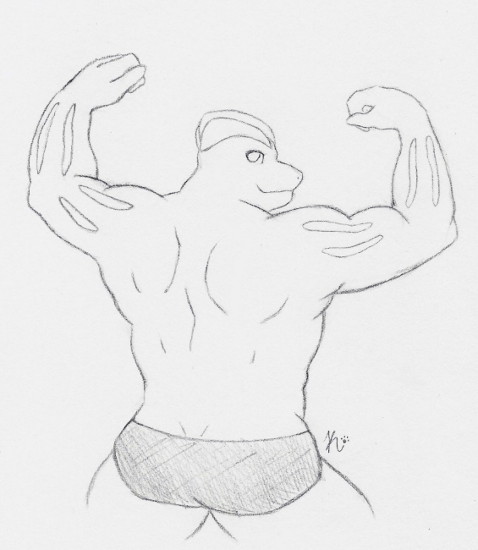 Back Muscle - Machoke