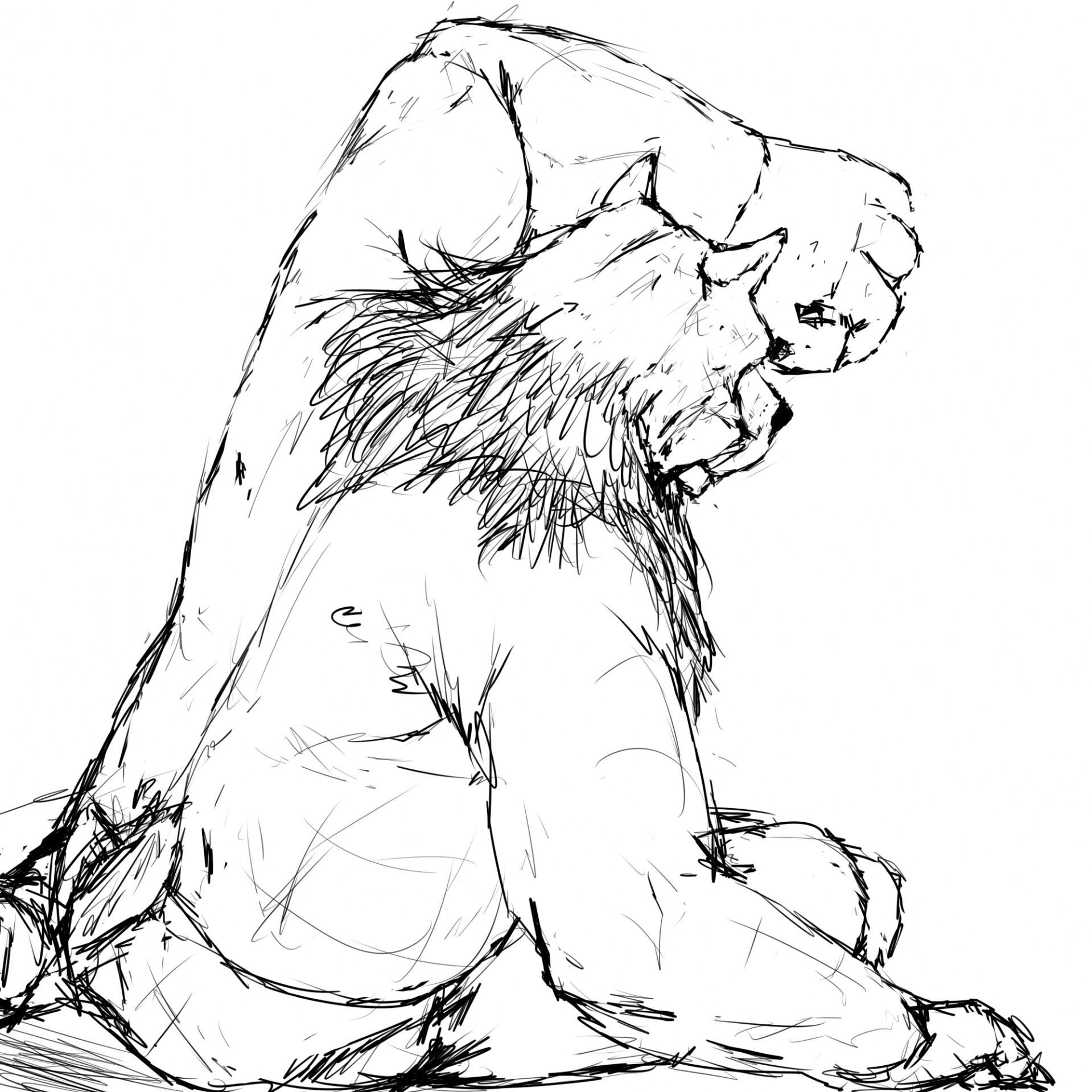 (sketch)grizzly sama^ ^