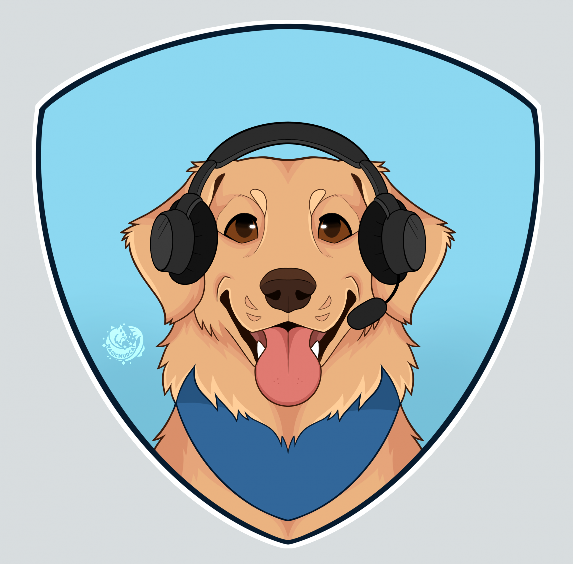 Click to change the View Headset pup