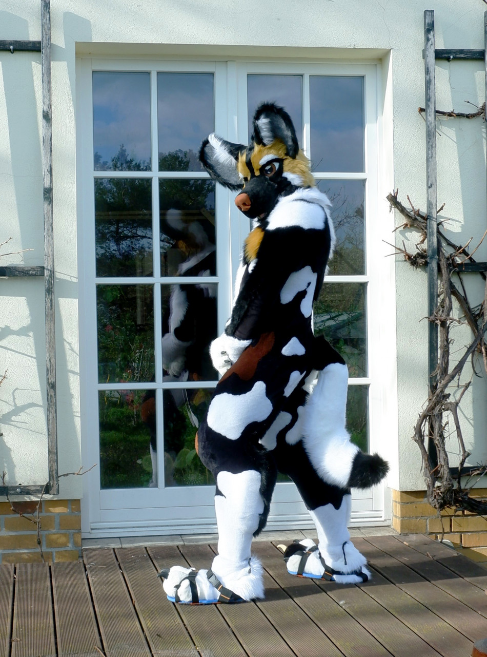 My new AWD Fursuit (2/3)