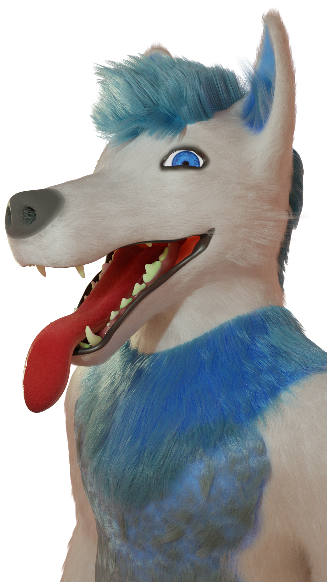Click to change the View (AF23) Cogo 1