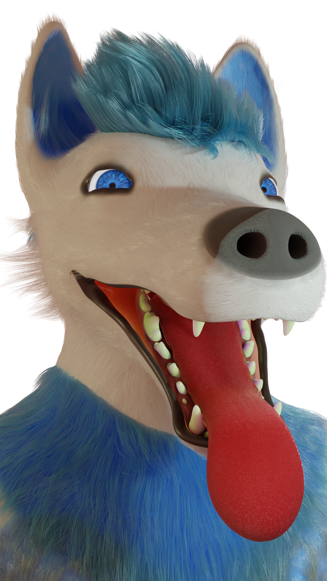 Click to change the View (AF23) Cogo 2