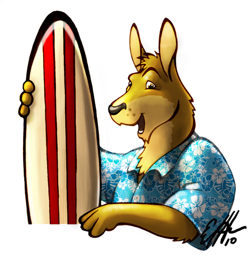 Surfer Roo