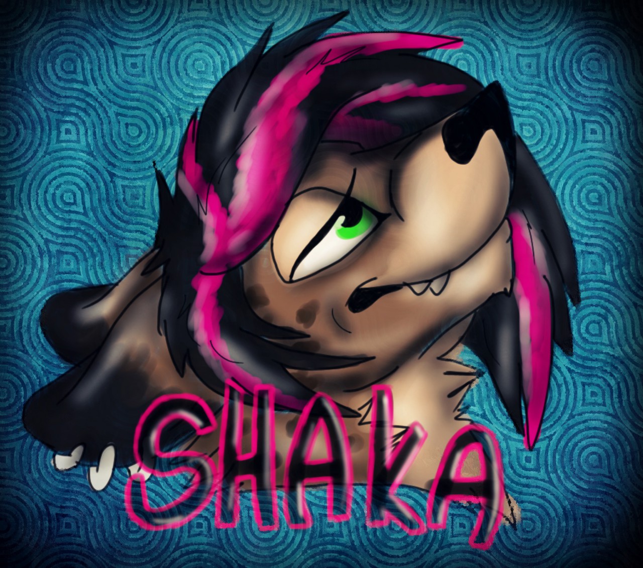 Shaka headshot