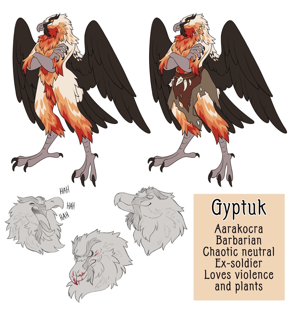 Dnd Gyptuk Aarakocra By Manicervidae Fur Affinity Dot Net