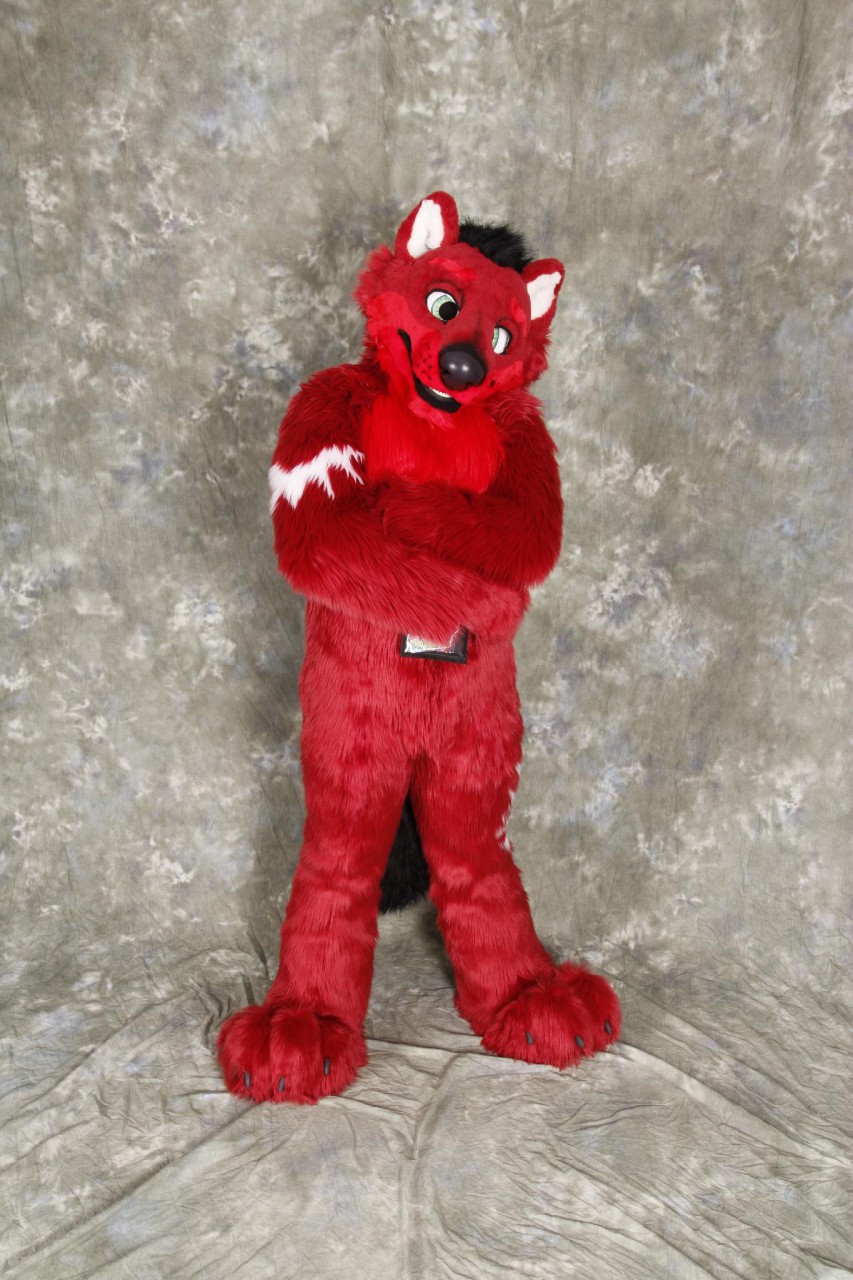 MFF 2015 Fursuit Photoshoot Photo #2