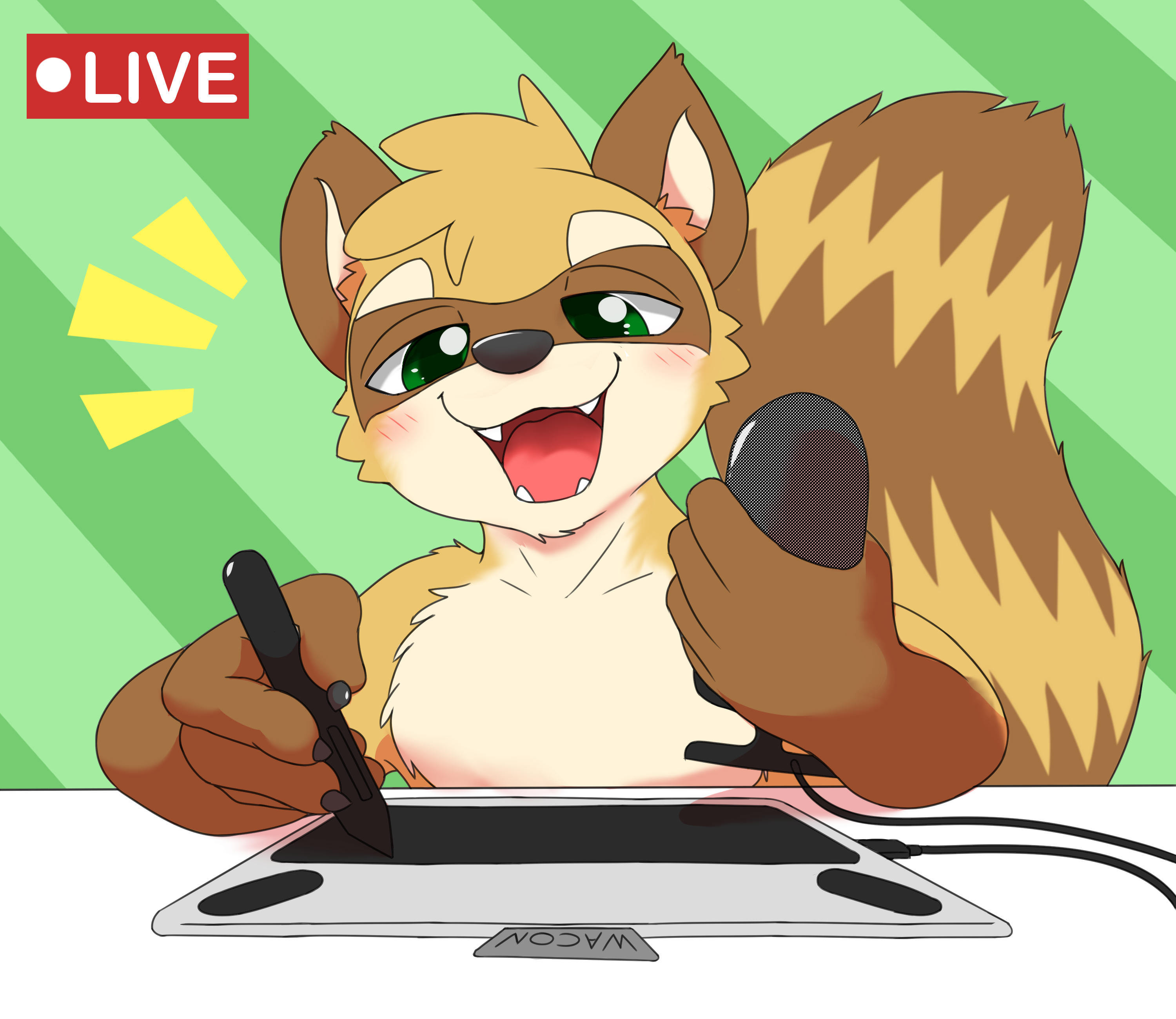 Raccoon streamer boi