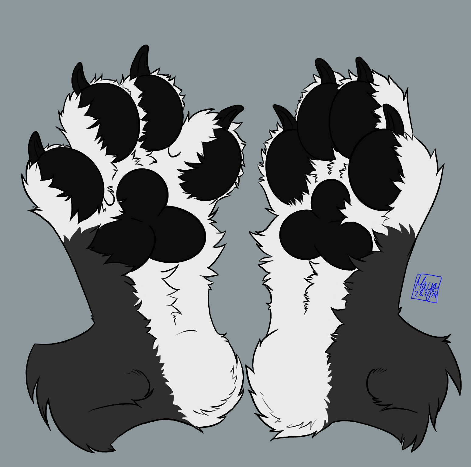 Paws #2