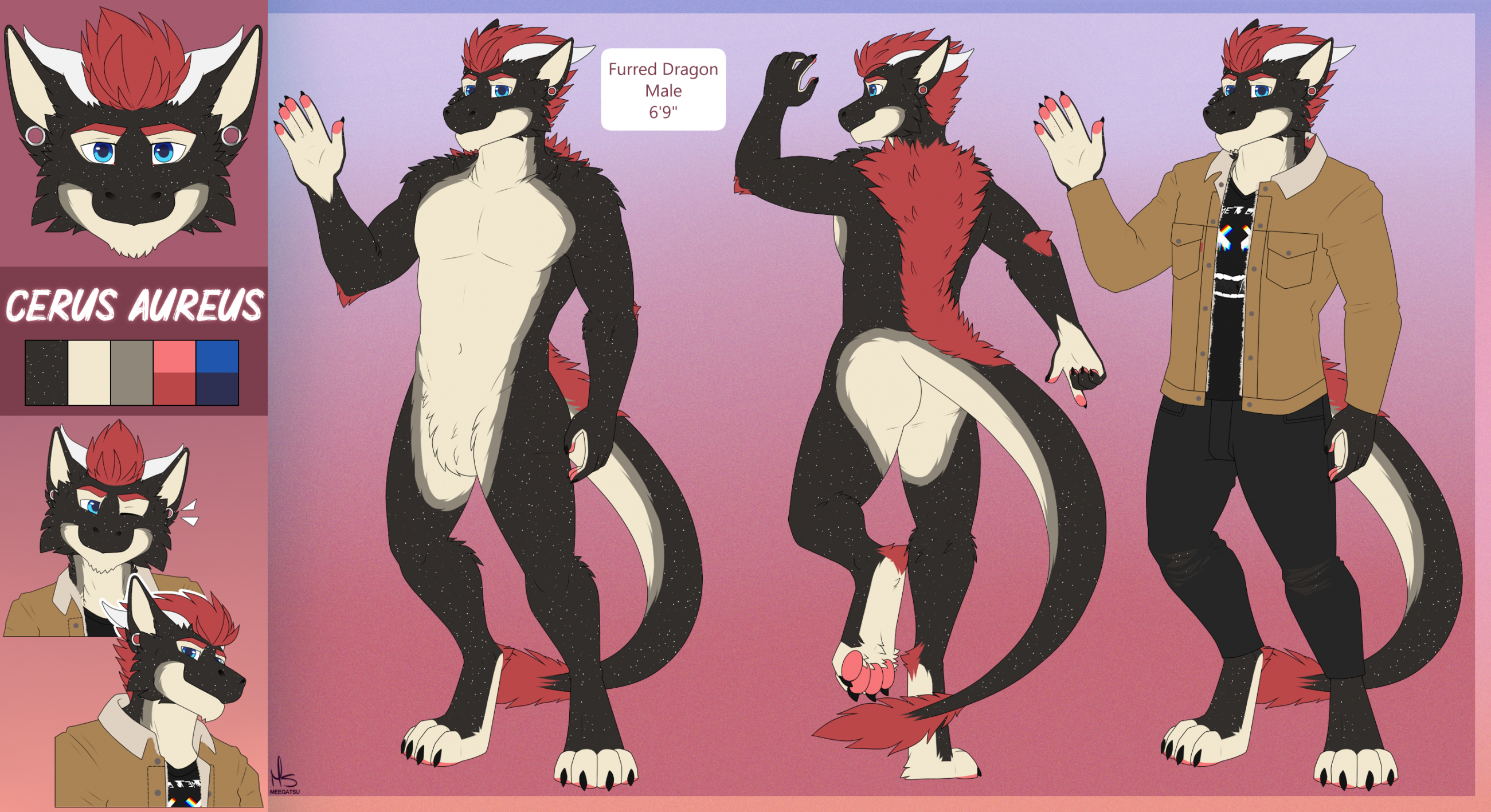 Ref Sheet - Aureus