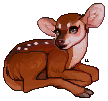 Little Deer