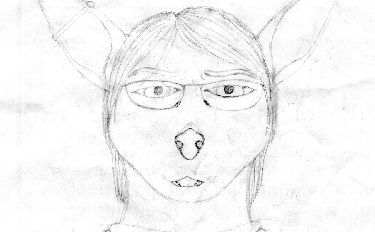 Click to change the View Sketches from work 3
