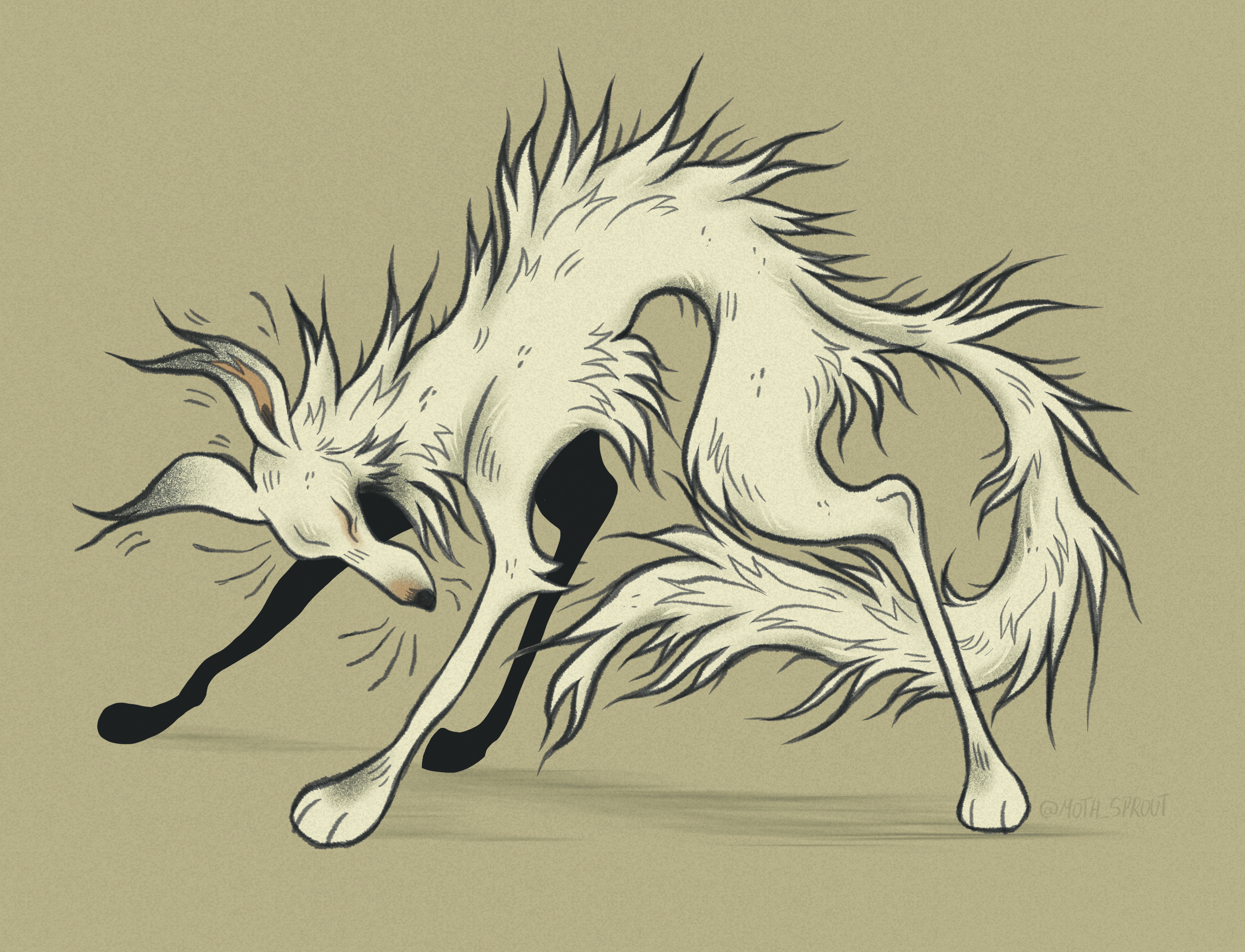 Borzoi