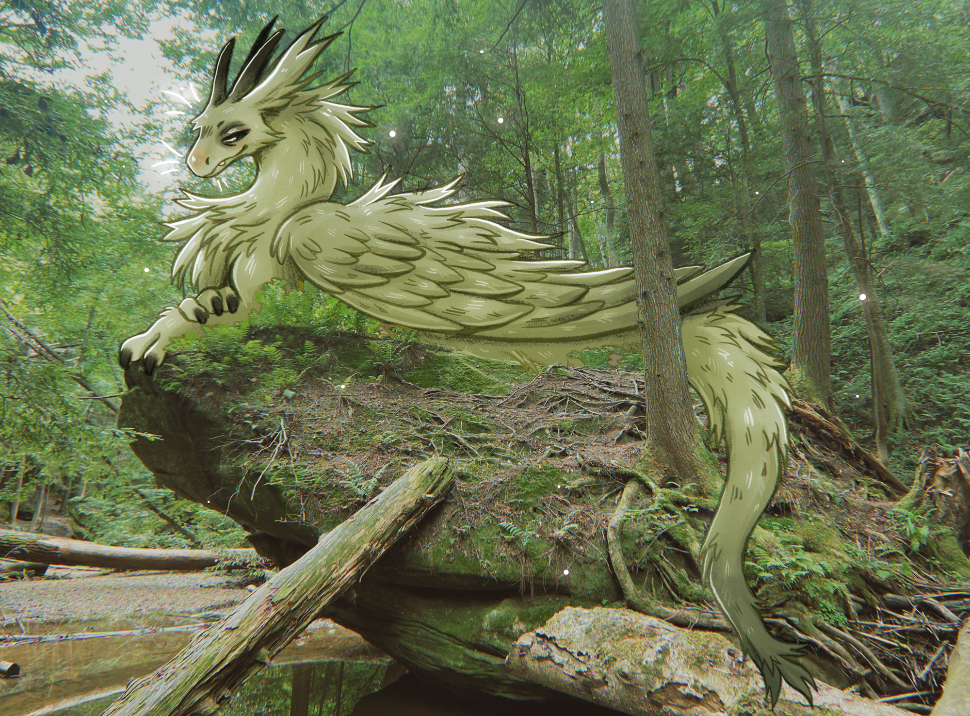 Forest Dragon