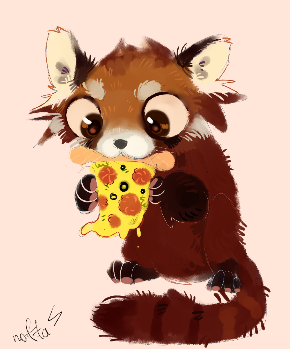 Red panda 🍕