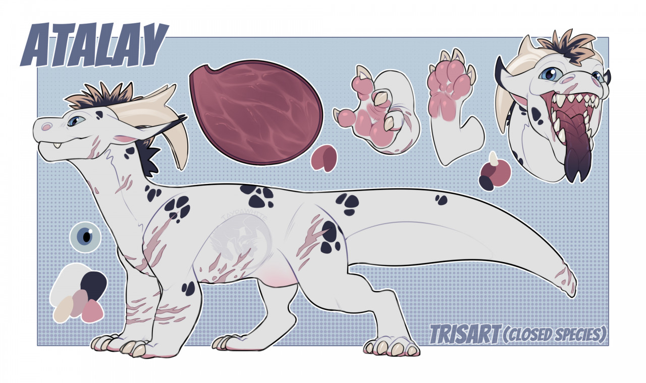 Click to change the View Atalay Ref Sheet (TayraWhite adopt)