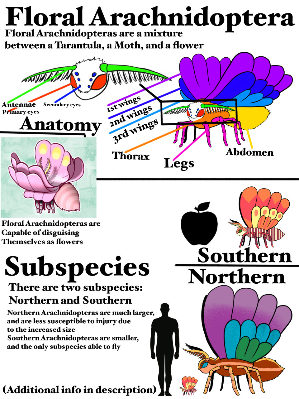 Click to change the View Floral Arachnidoptera species reference