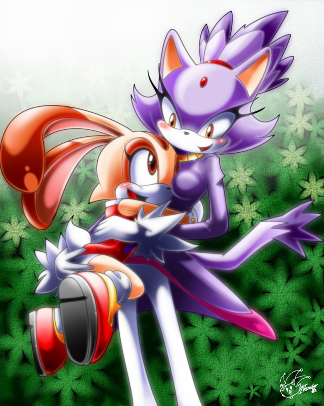 Sonic X Blaze Lemon