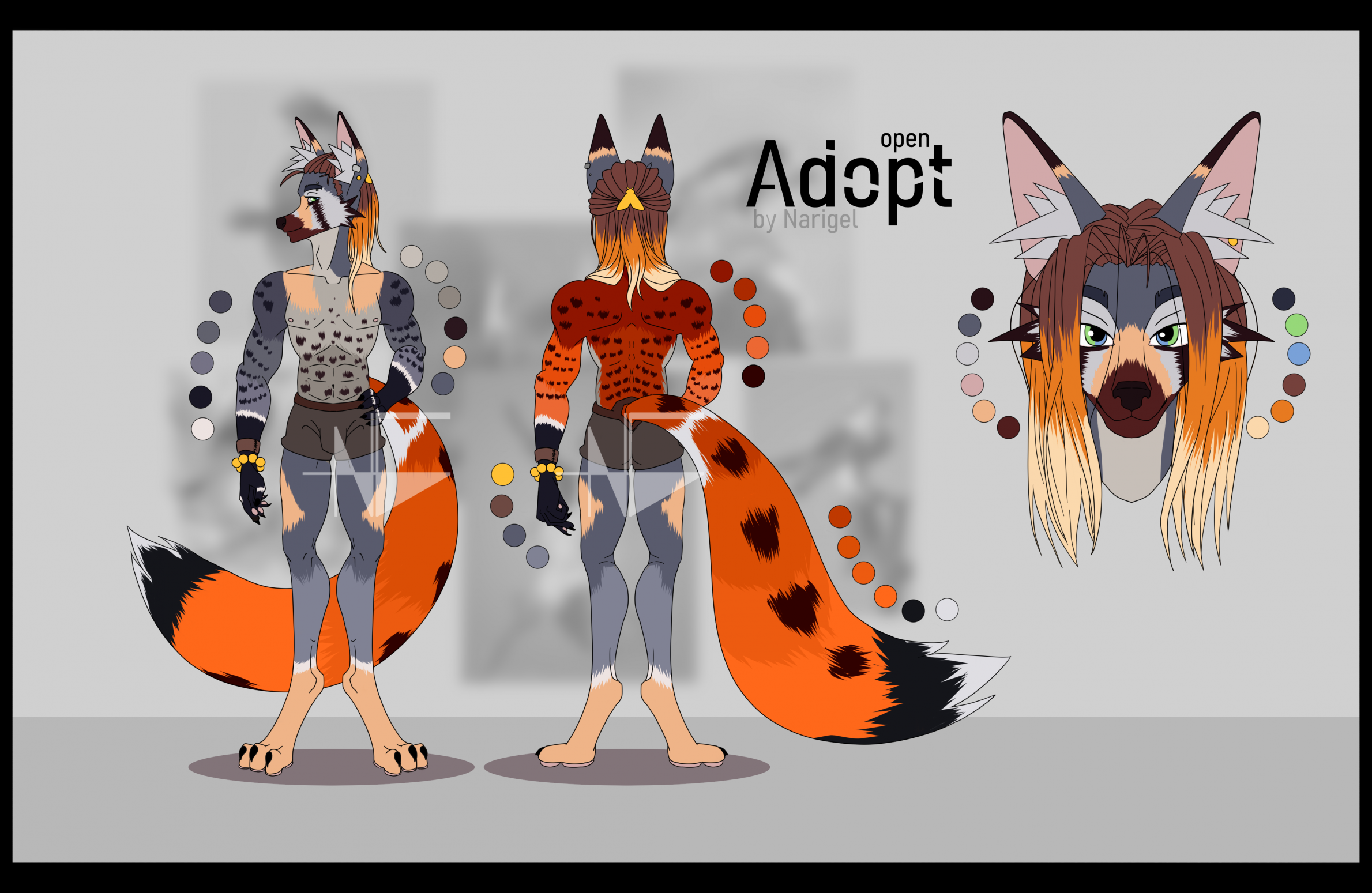 Fox Falco Sparverius open adopt