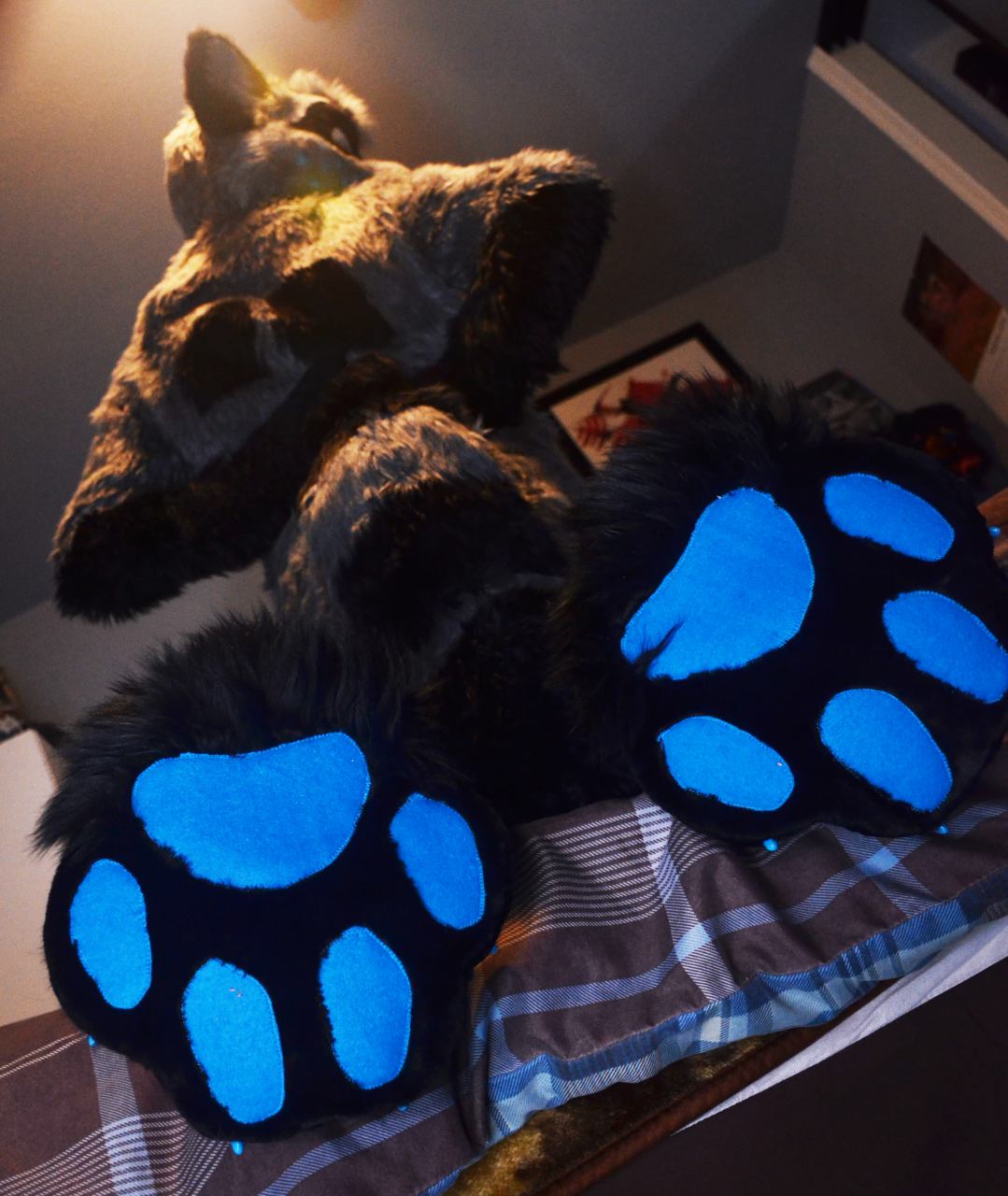 New Paws ^^