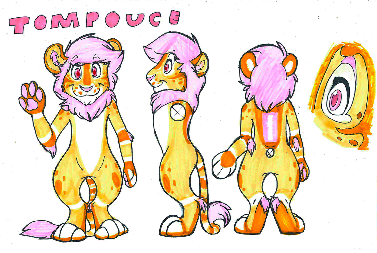 Tompouce reference sheet 2017