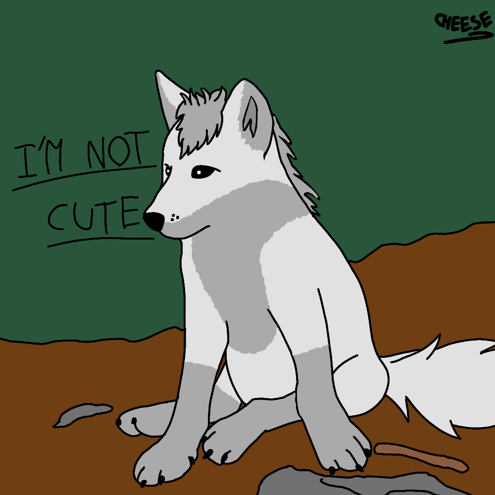 A "not" cute wolf