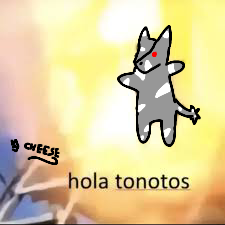 Tonotos