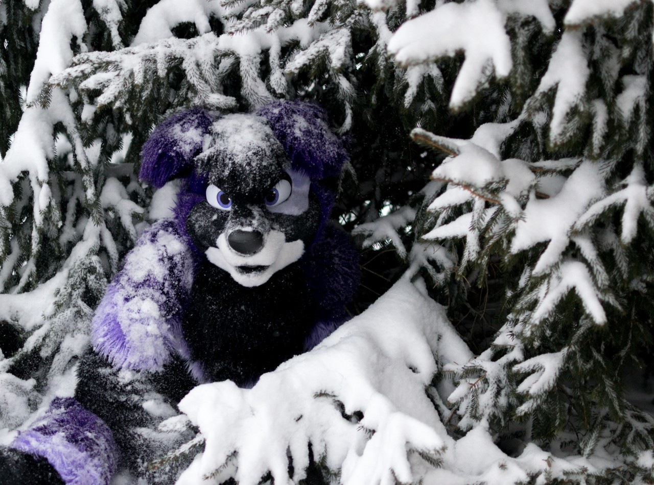 Purple Dog invites you to the Tree House