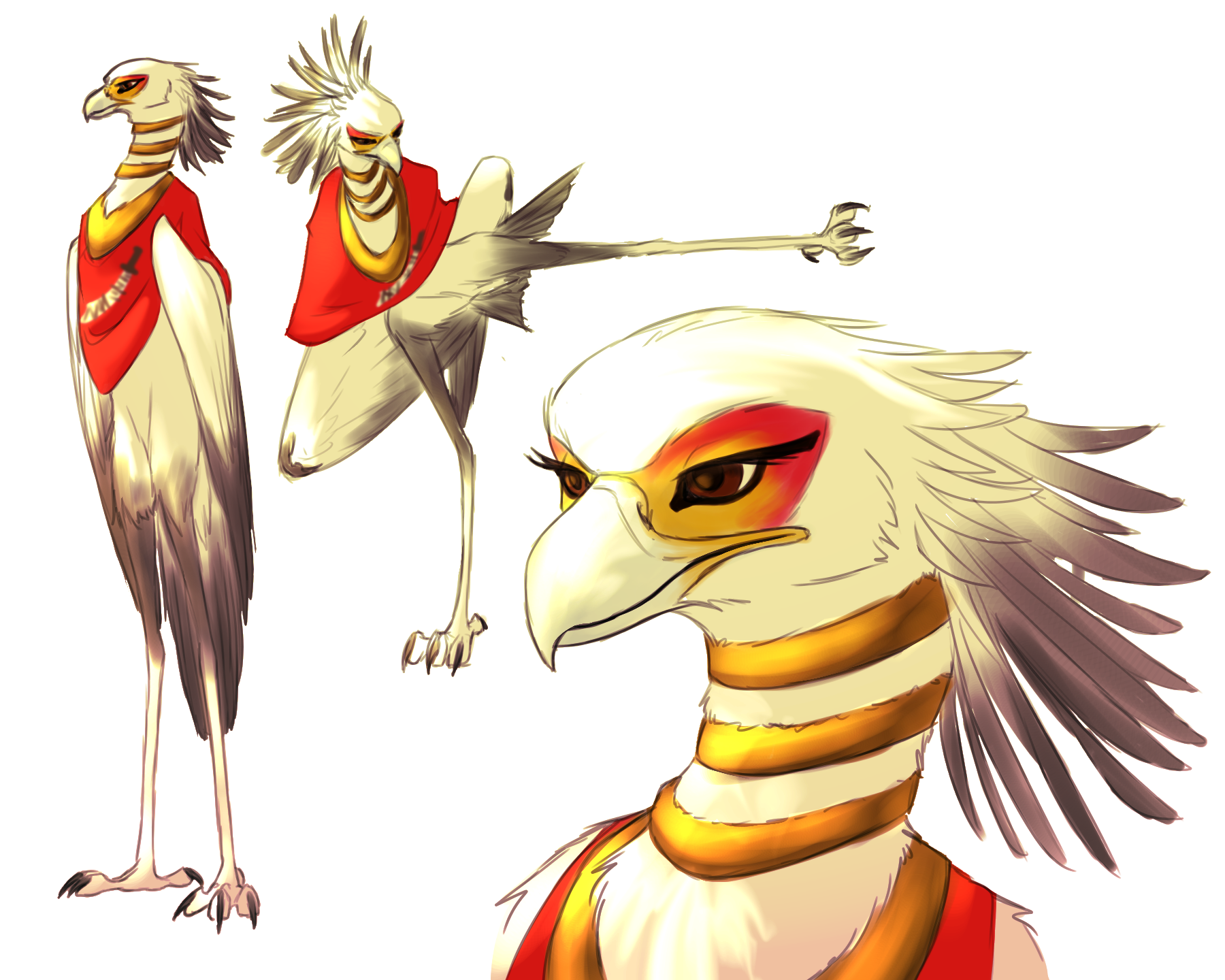 Secretary Aarakocra