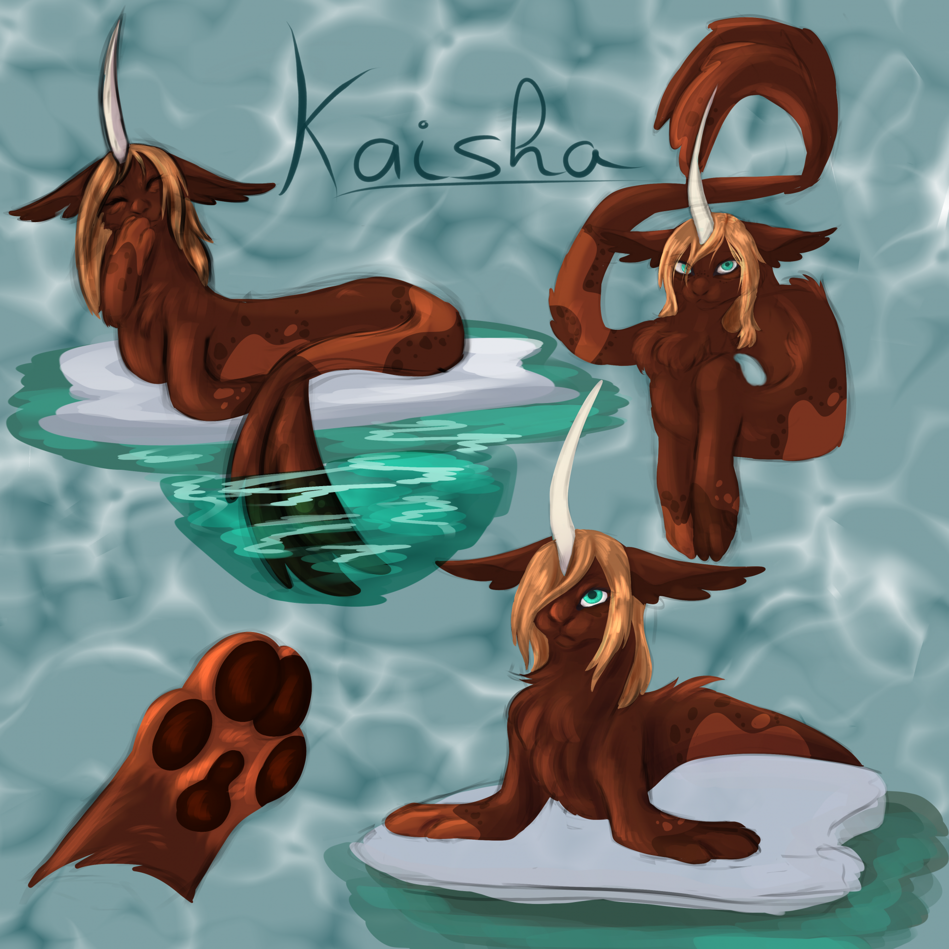 Meet Kaisha