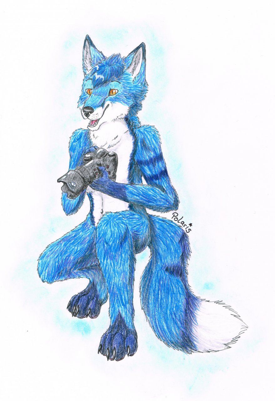 Click to change the View Foto-fox