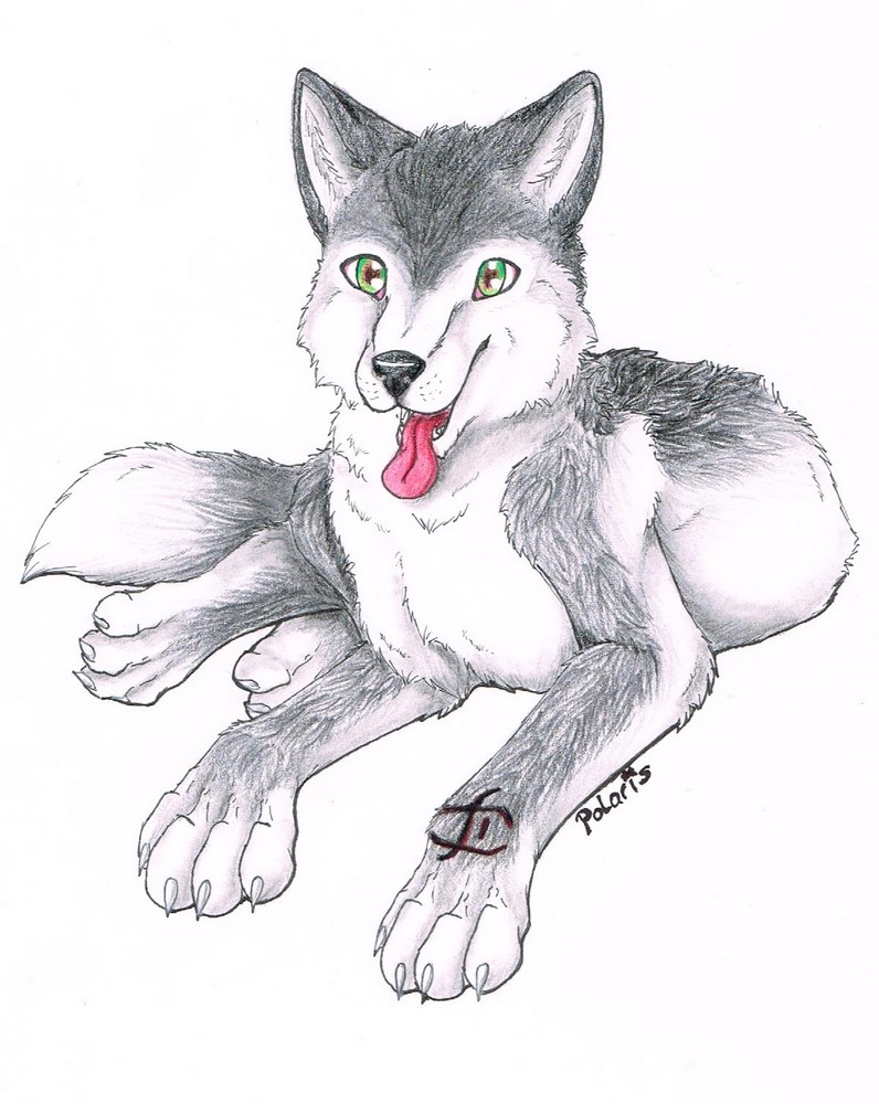 Click to change the View lucky husky =)